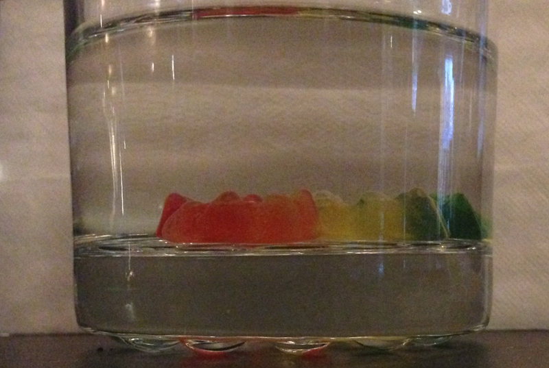 Illustration for article titled Gummy Bears Taste Good But They're Fucking Gross When Soaked in Fluid